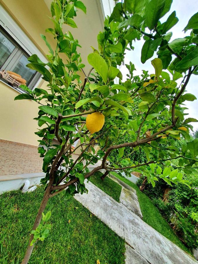 Apartamenty Rodzinne Камена Вурла Екстериор снимка